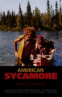 Image for American sycamore