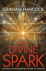Image for The divine spark  : psychedelics, consciousness and the birth of civilization
