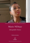 Image for Marie NDiaye  : inhospitable fictions