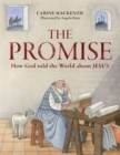 Image for The promise  : how God told the world about Jesus