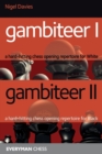 Image for Gambiteer