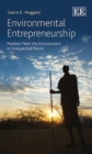 Image for Environmental Entrepreneurship