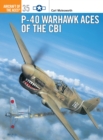 Image for P-40 Warhawk Aces of the CBI
