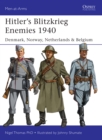 Image for Hitler&#39;s Blitzkrieg enemies, 1940: Denmark, Norway, Netherlands &amp; Belgium : 493