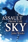 Image for Assault from the sky: the history of airborne warfare