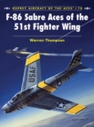 Image for F-86 Sabres of the 4th Fighter Interceptor Wing