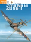 Image for Spitfire Mk I/ii Aces, 1939-41