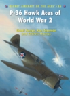 Image for P-36 Hawk Aces of World War 2 : 86