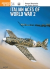 Image for Italian Aces of World War 2