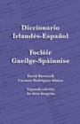 Image for Diccionario Irlandes-Espanol - Focloir Gaeilge-Spainnise