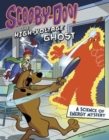 Image for The high-voltage ghost  : a science of energy mystery
