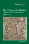 Image for The Welsh and the shaping of early modern Ireland, 1558-1641