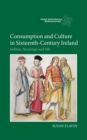 Image for Consumption and culture in sixteenth-century Ireland: saffron, stockings and silk