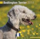Image for Bedlington Terrier 2014
