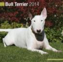 Image for Bull Terrier 2014
