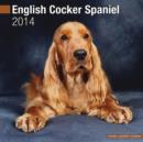 Image for English Cocker Spaniel 2014