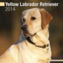 Image for Yellow Labrador Retriever 2014