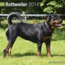 Image for Rottweiler 2014