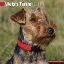 Image for Welsh Terrier 2014