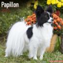 Image for Papillon 2015