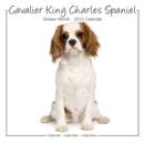 Image for Cavalier King Charles Spaniel (Studio) 2015