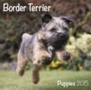 Image for Border Terrier (Mini) 2015