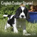Image for English Cocker Spaniel (Mini) 2015