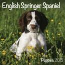 Image for English Springer Spaniel (Mini) 2015