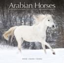 Image for Arabian Horses Calendar 2016