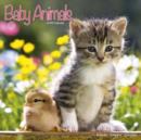 Image for Baby Animals Calendar 2016