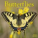 Image for Butterflies Calendar 2016