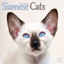 Image for Siamese Cats Calendar 2016