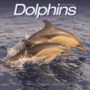 Image for Dolphins Calendar 2016