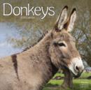 Image for Donkeys Calendar 2016