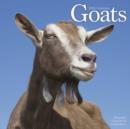 Image for Goats Calendar 2016
