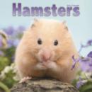 Image for Hamsters Calendar 2016