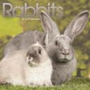 Image for Rabbits Calendar 2016