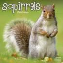 Image for Squirrels Calendar 2016