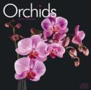 Image for Orchids Calendar 2016