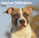 Image for American Staffordshire Terrier Calendar 2016