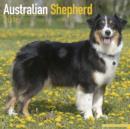 Image for Australian Shepherd Calendar 2016