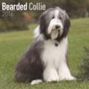 Image for Bearded Collie Calendar 2016
