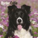 Image for Border Collie Calendar 2016