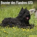 Image for Bouvier Des Flandres (US) Calendar 2016