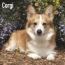 Image for Corgi Calendar 2016