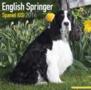 Image for English Springer Spaniel (US) Calendar 2016