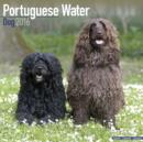 Image for Portuguese Water Dog Calendar 2016