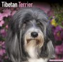 Image for Tibetan Terrier Calendar 2016