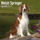 Image for Welsh Springer Spaniel Calendar 2016