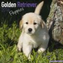 Image for Golden Retriever Puppies Calendar 2016